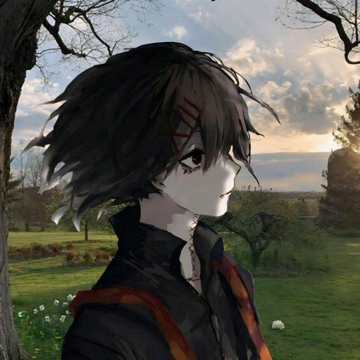 RSeds avatar