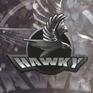 Player Hawky avatar