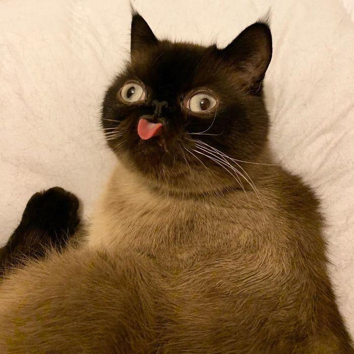 kasalapy_ avatar