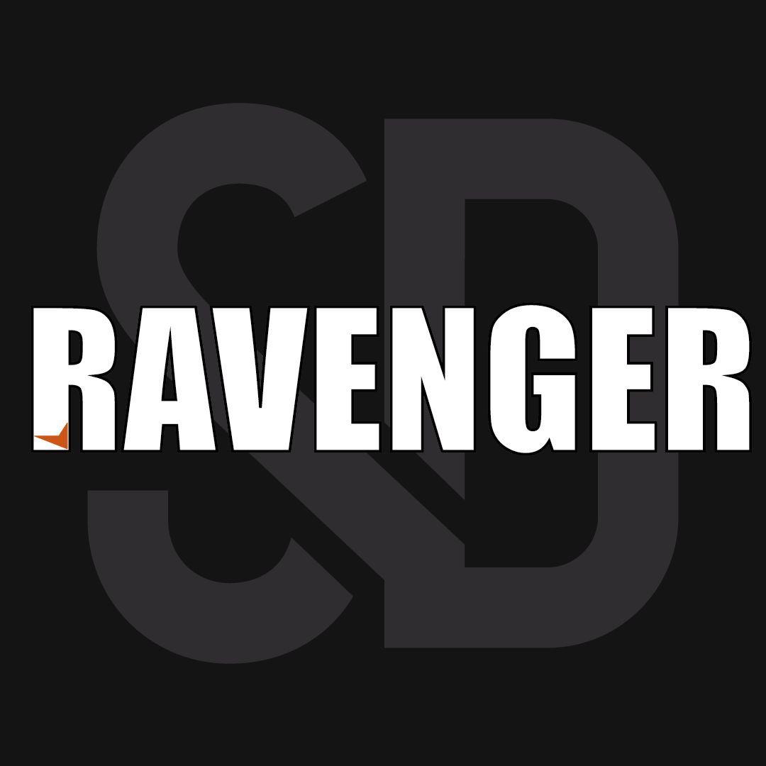 RRavengeRR avatar