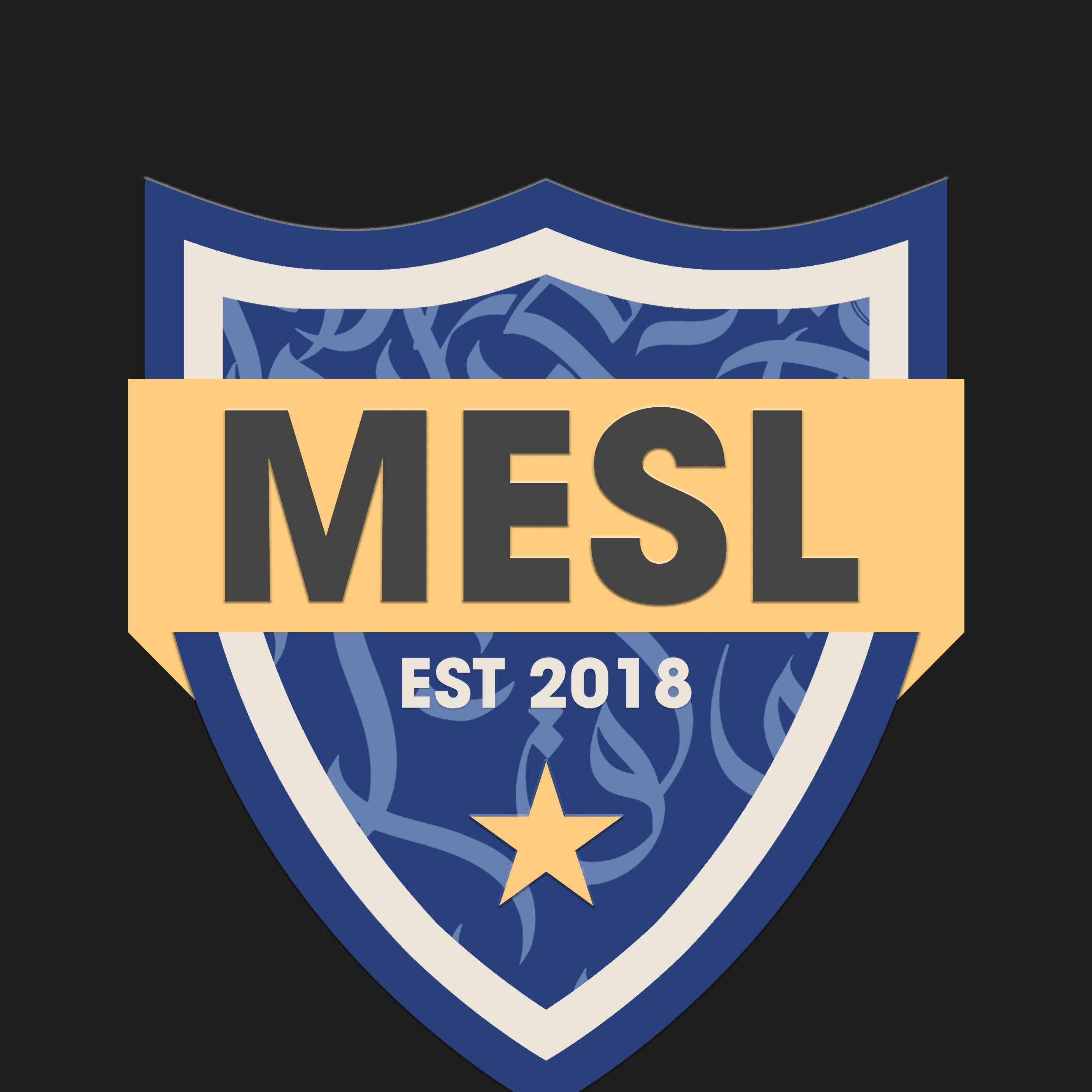 Middle East Stars League