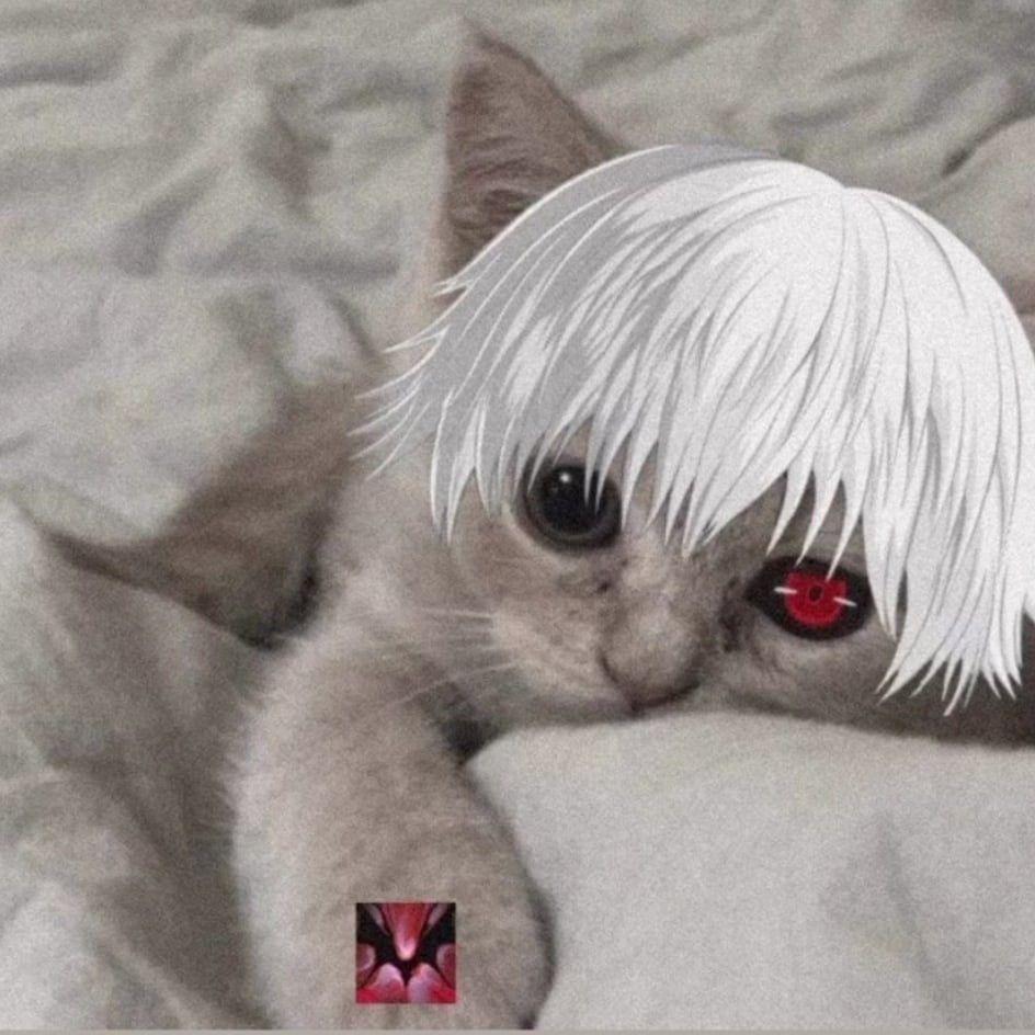 Tapchik avatar