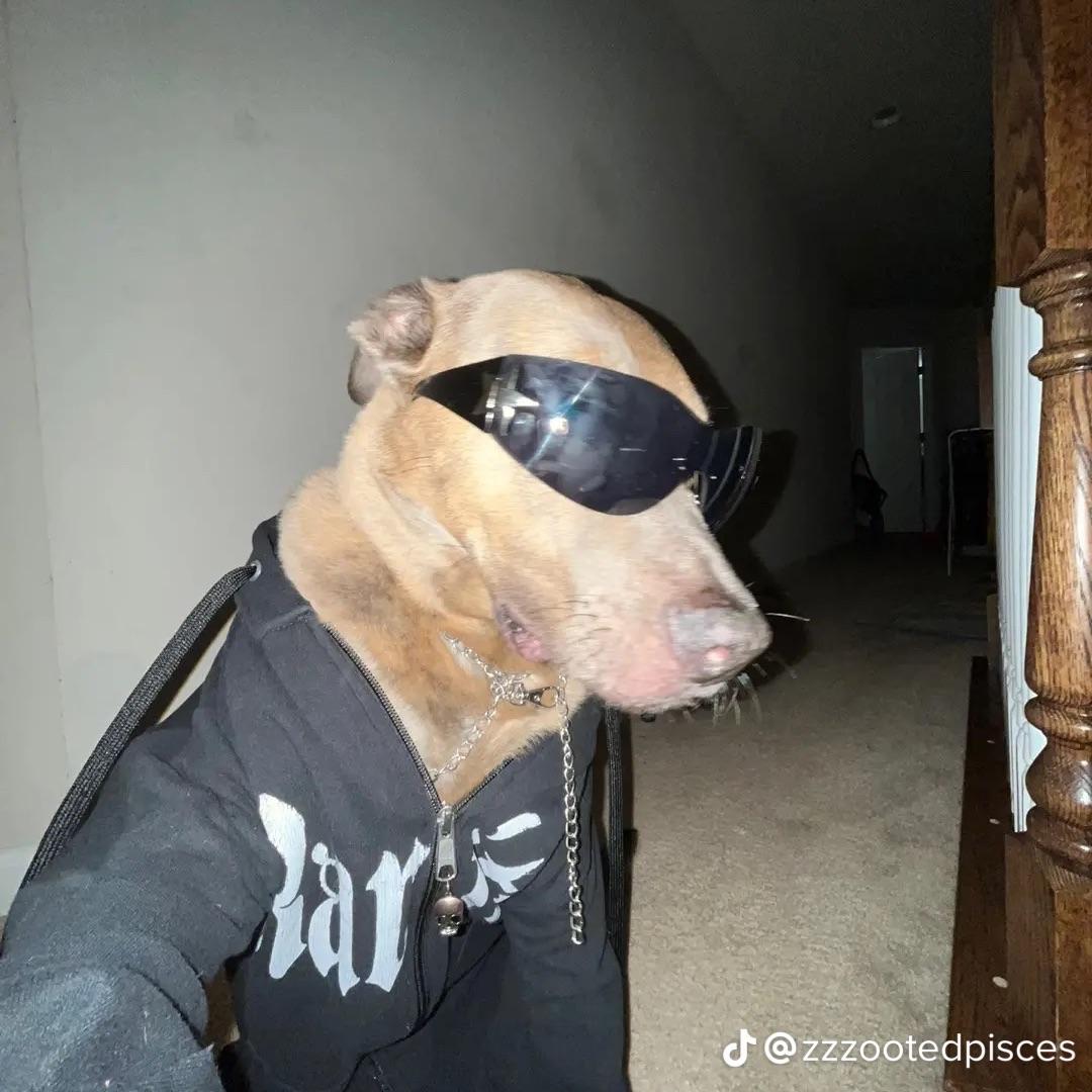 XxVieiraxX avatar