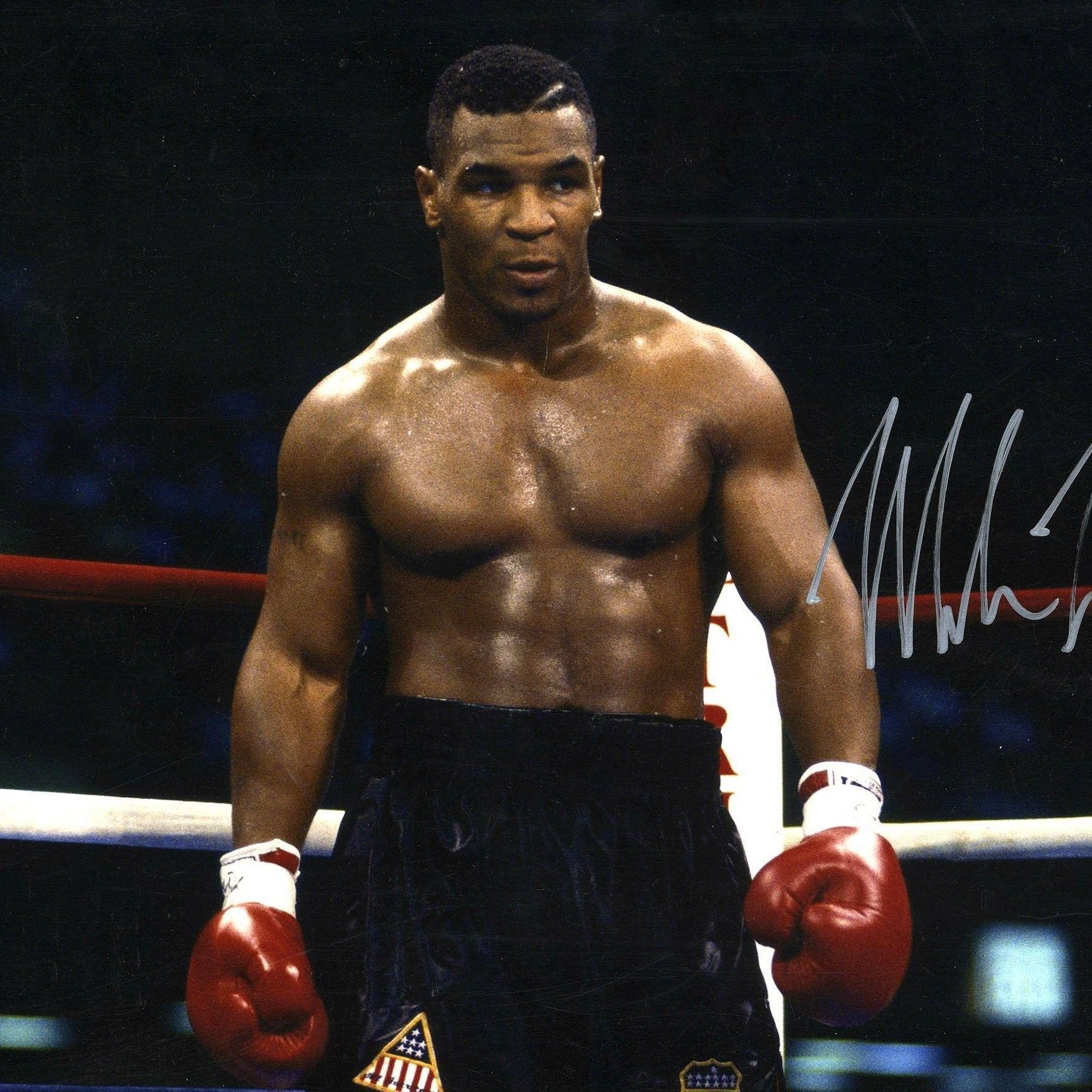 miketyson77