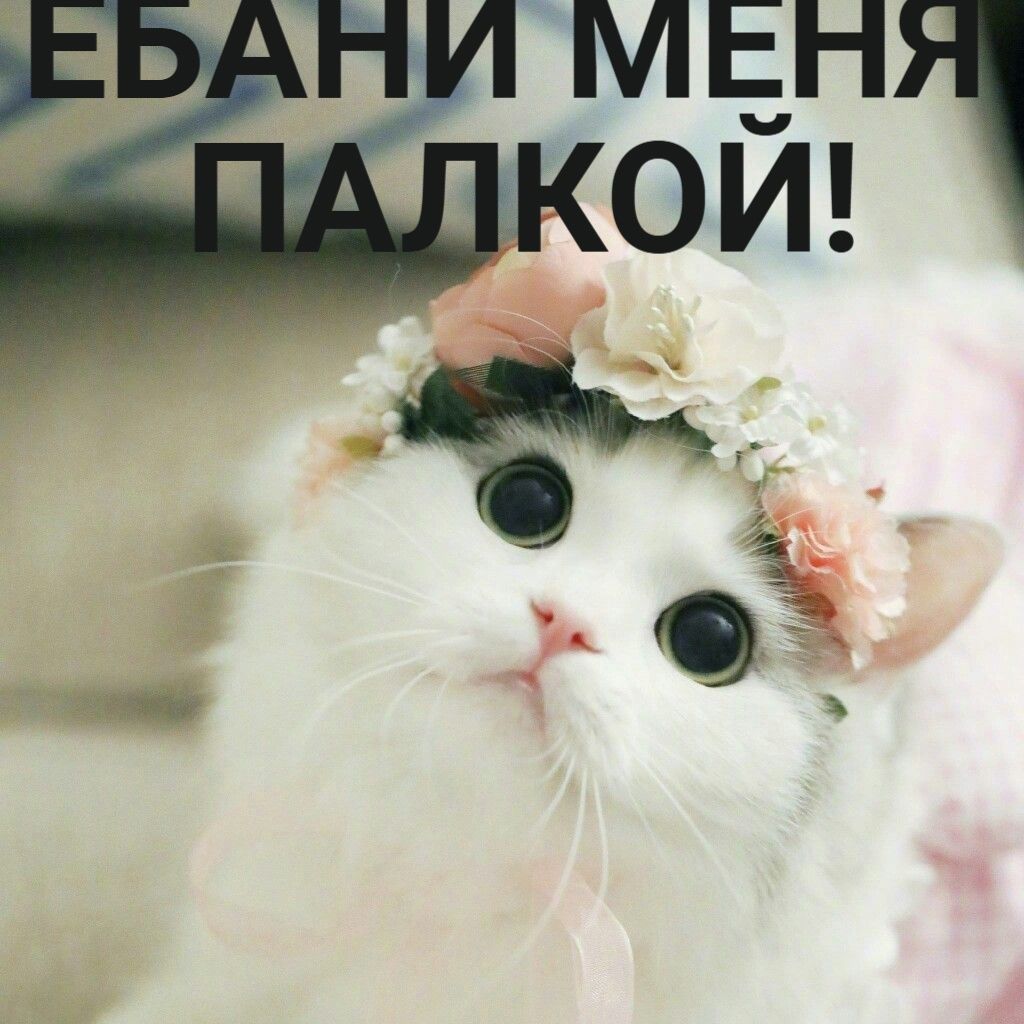 PlBreath