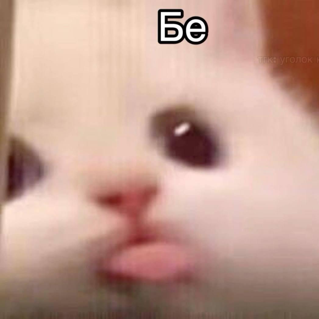 lam197 avatar