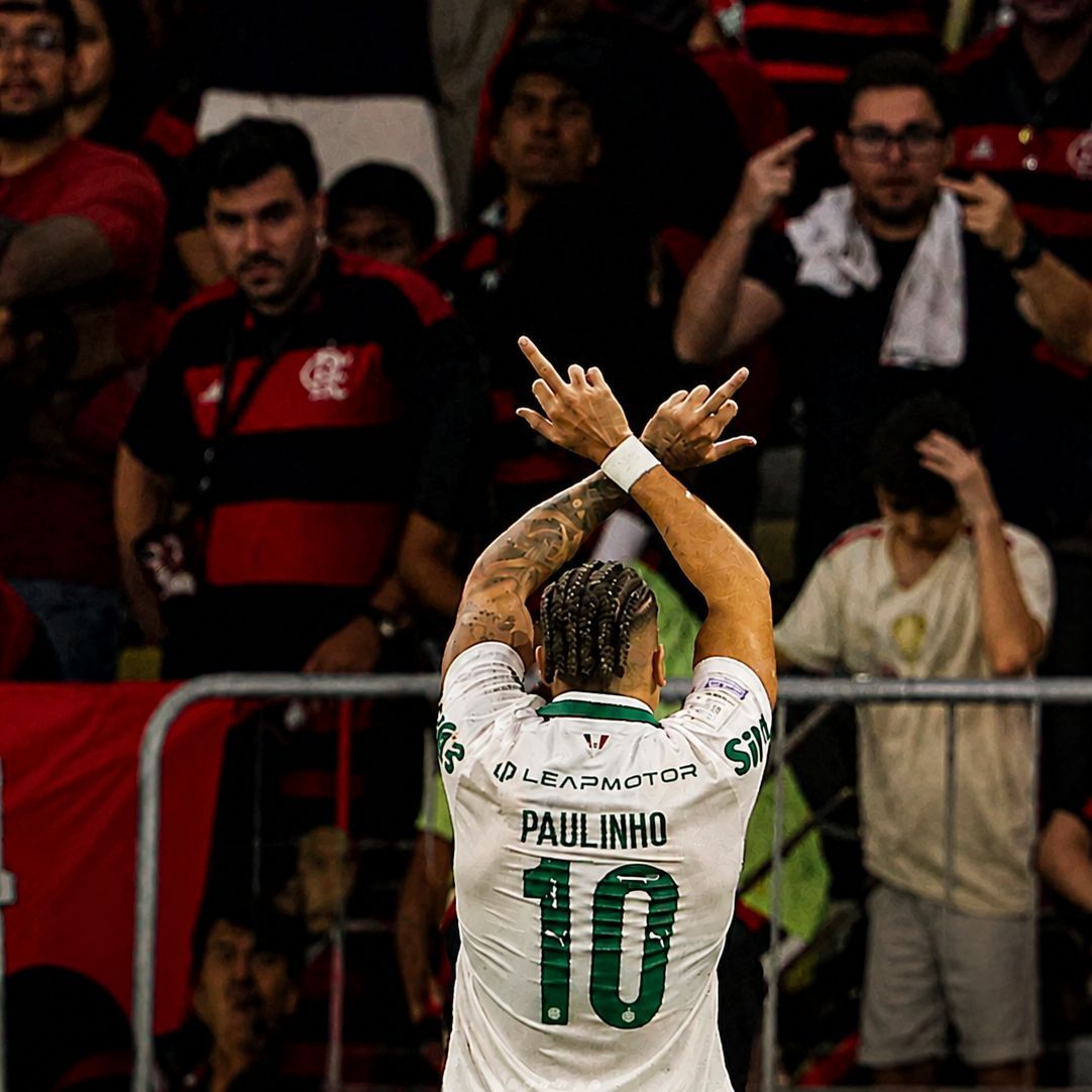 MEDEIROS7
