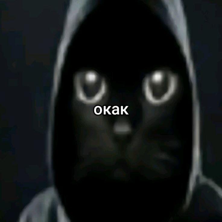 tsukinyan-