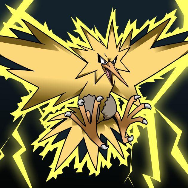 Player -Zapdos- avatar