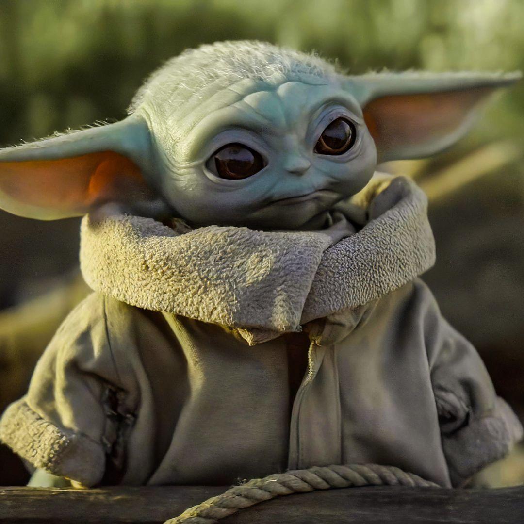 BabyYoda886 avatar