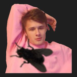 Apopilup FACEIT avatar