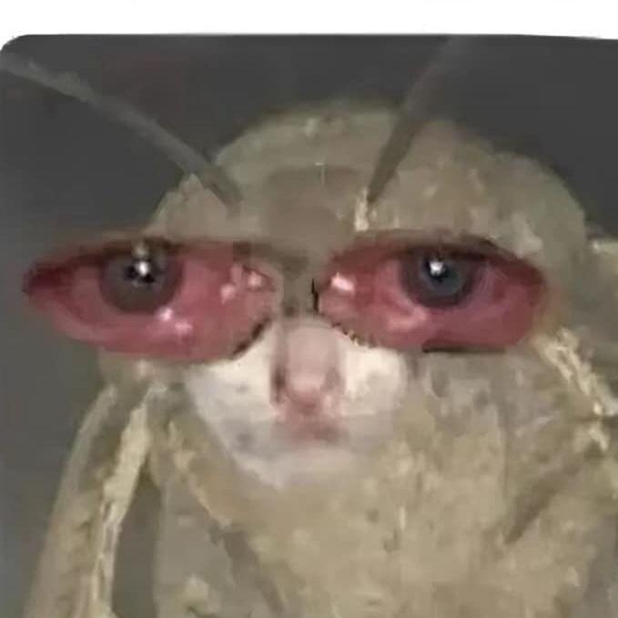 Ferqchareg avatar