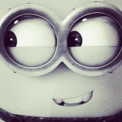 vokkeedo avatar