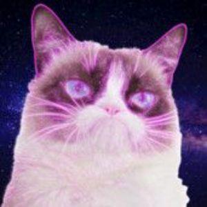 SadZCat avatar