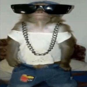 Player babybex avatar