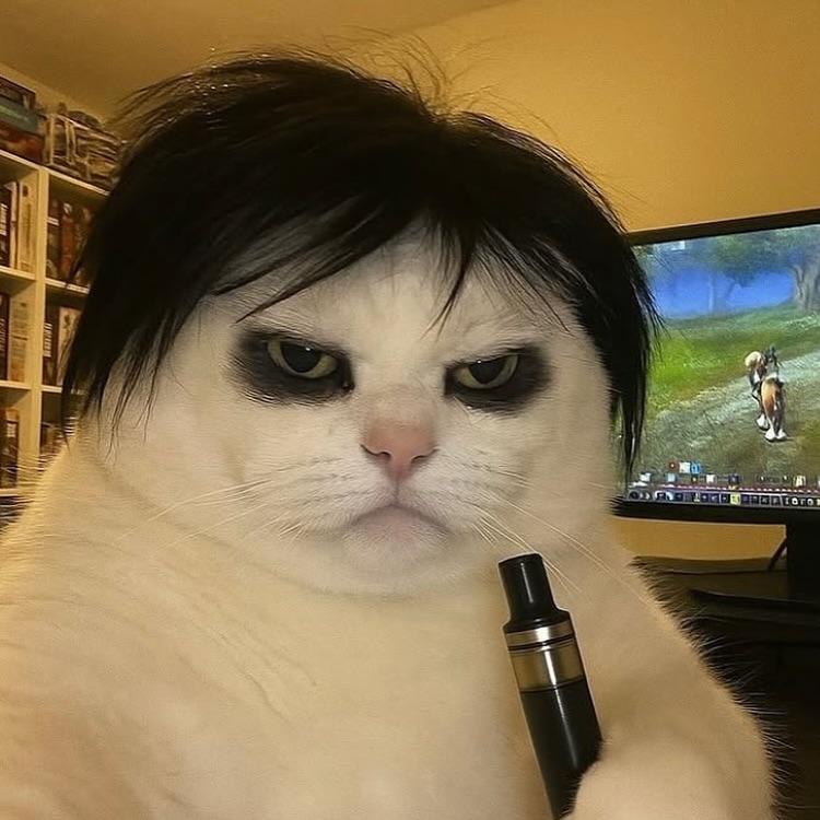 BlakeLvnn avatar