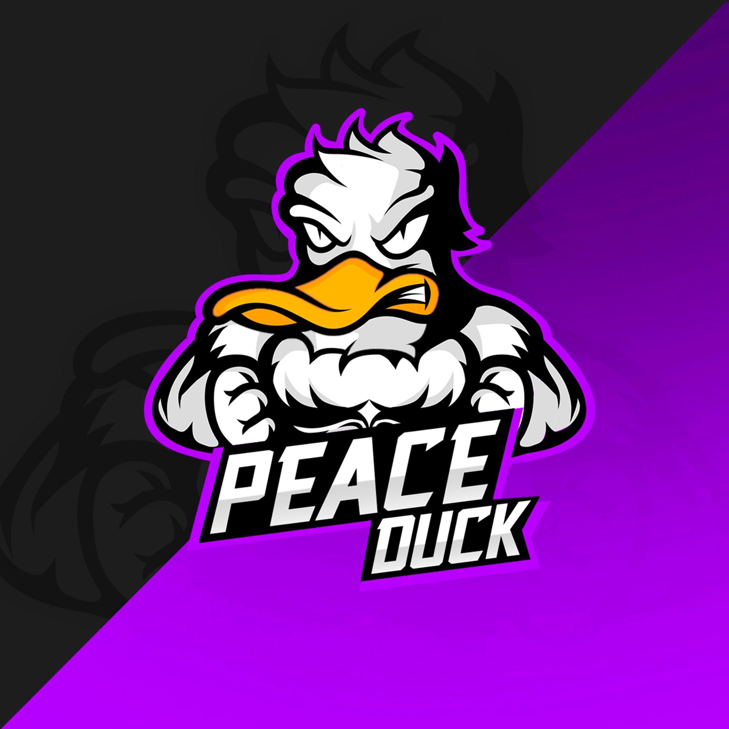 PeaceDuckX avatar