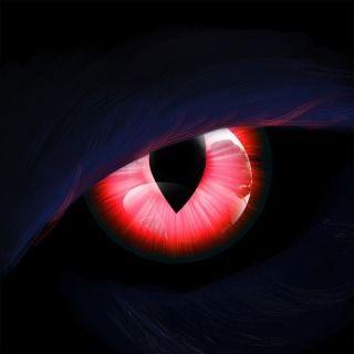 Player -eagle-eye avatar