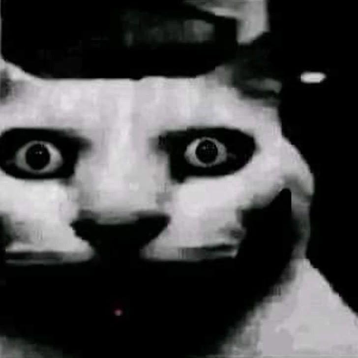 Meefity avatar