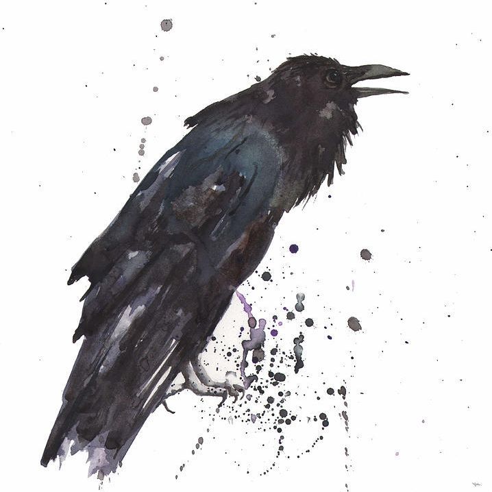 1Birdbr4