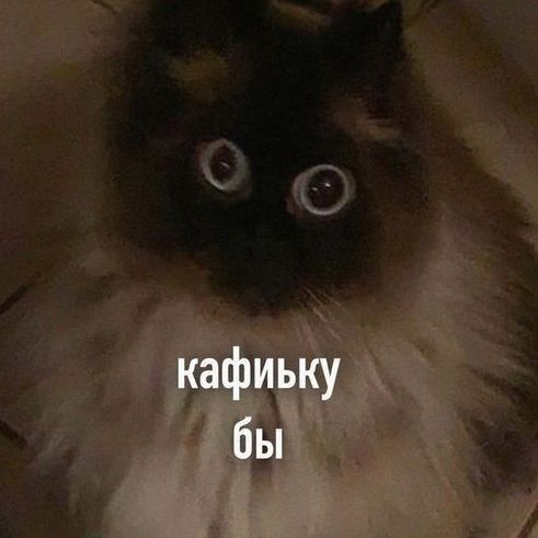 -CaXaPkA-