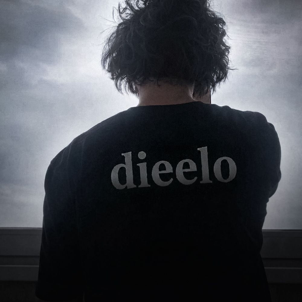 dieelo FACEIT avatar