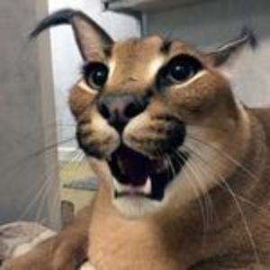 4ePHblu6yMeP avatar