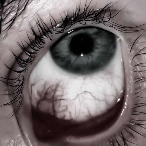 stressm4ker avatar