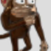 Monkey006