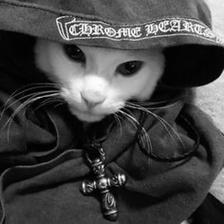 ELOT3RR0RIST