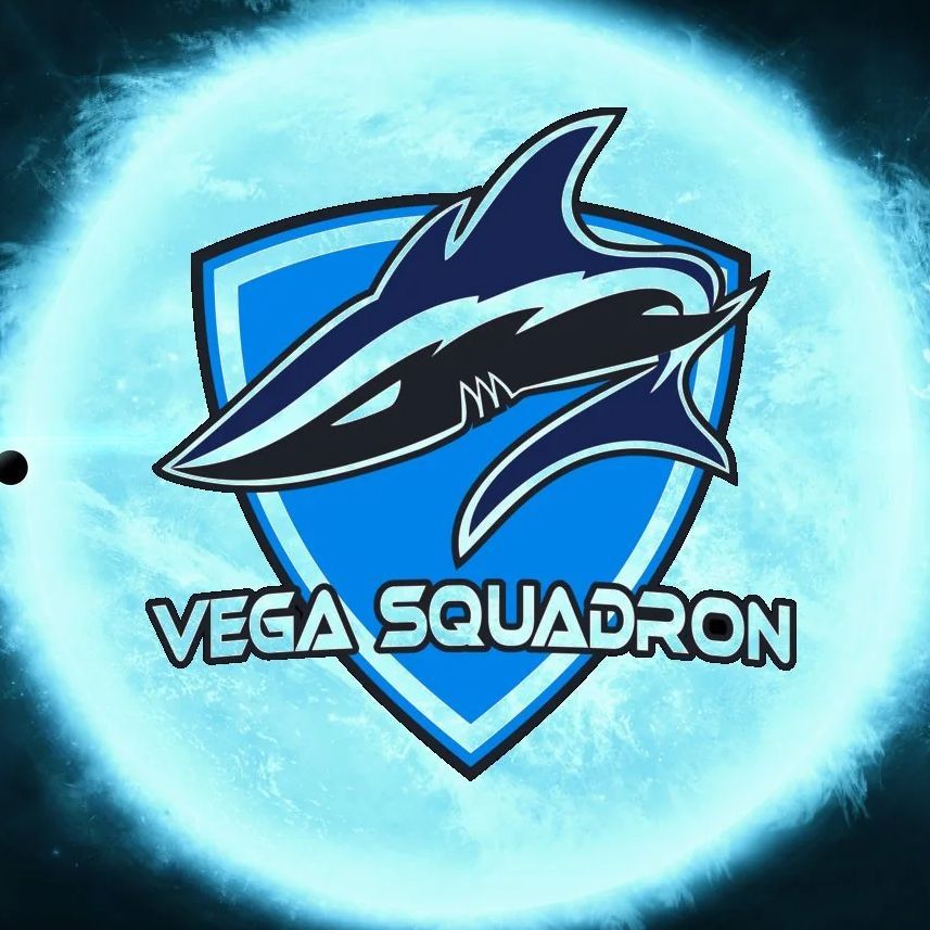 V S Academy