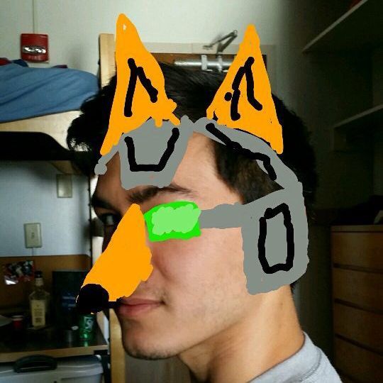 The_Bard FACEIT avatar