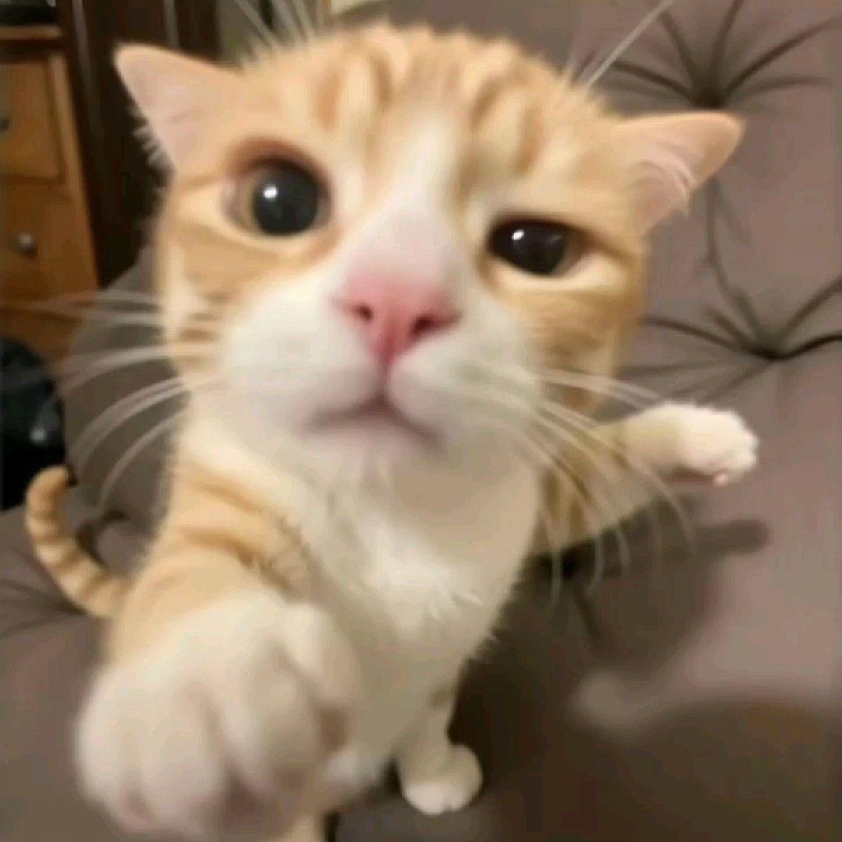 CHRISTIANEEE