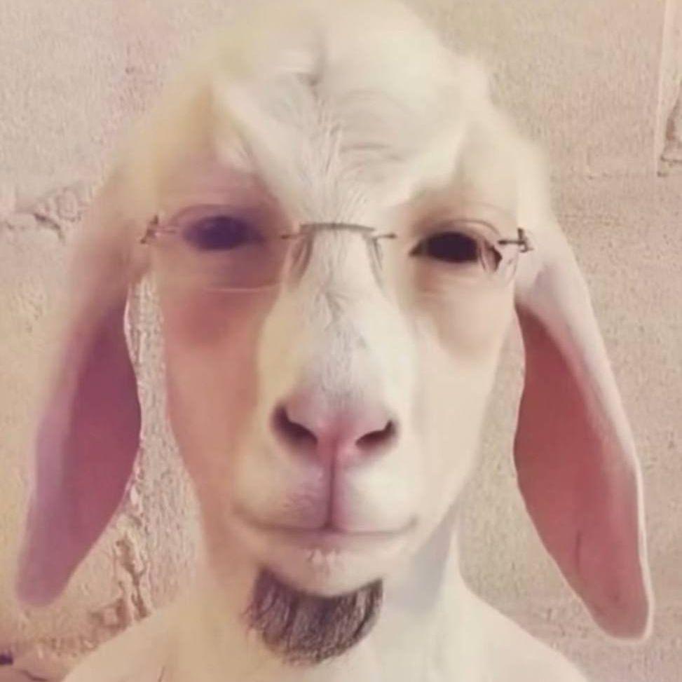 frozenthug avatar