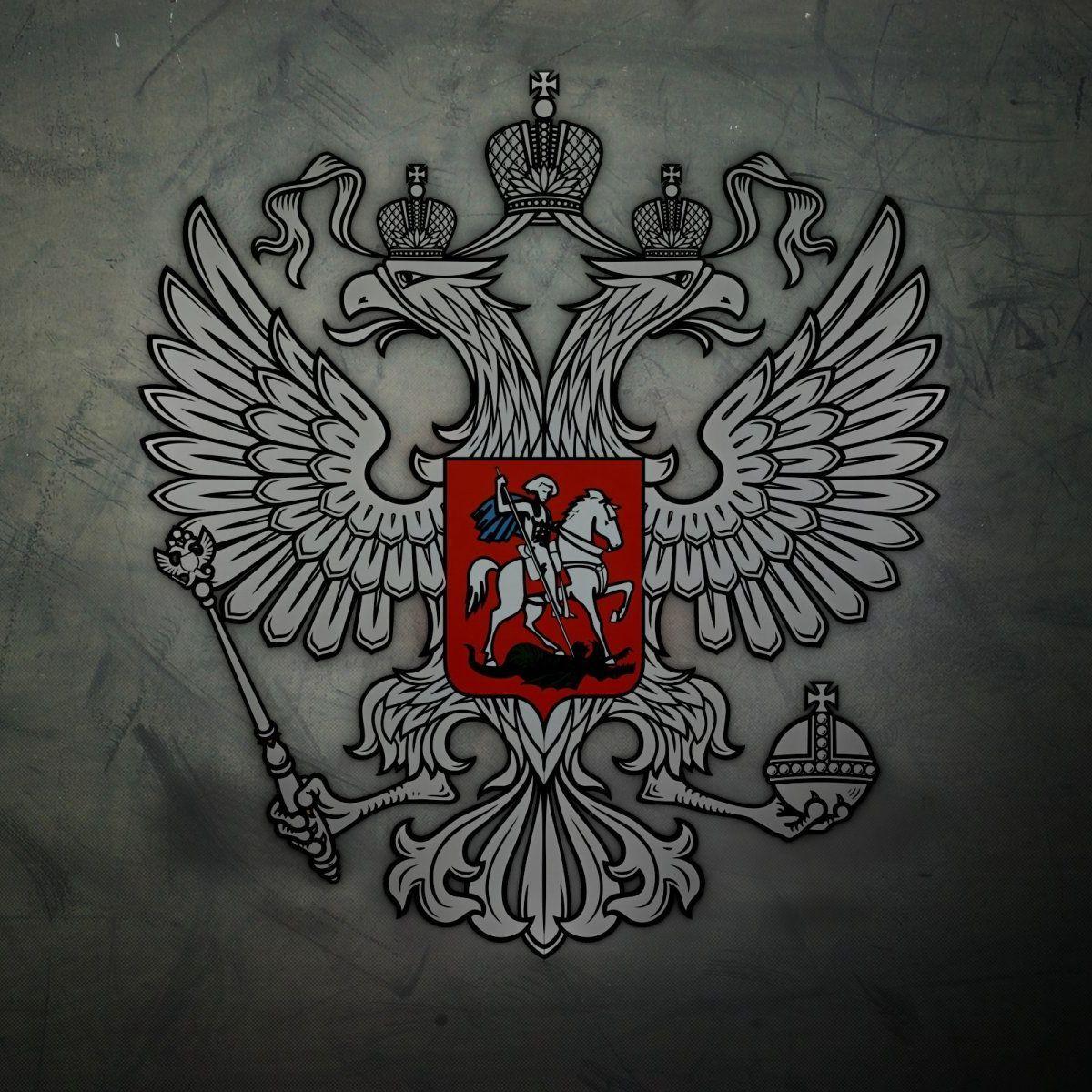 A000MP97 avatar