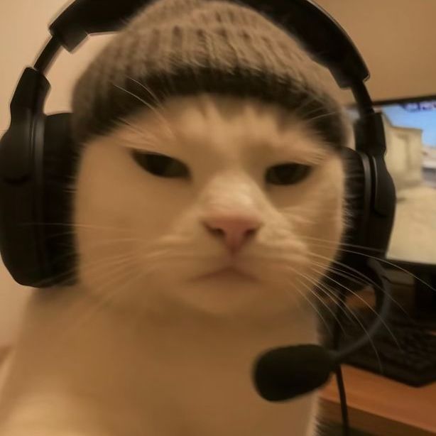 -BrapBrap-