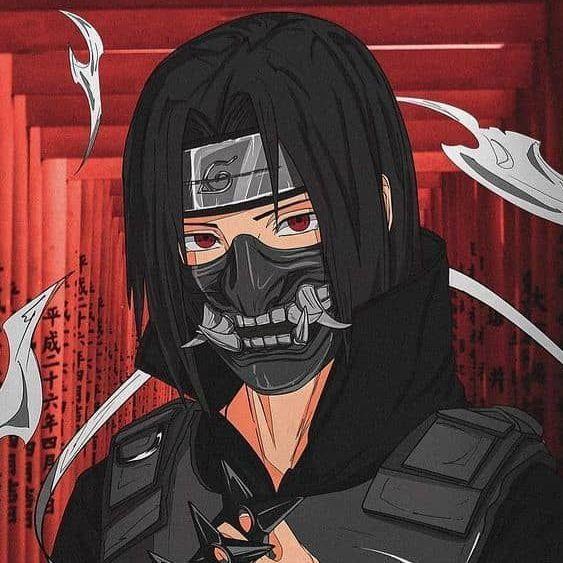 insidercya avatar