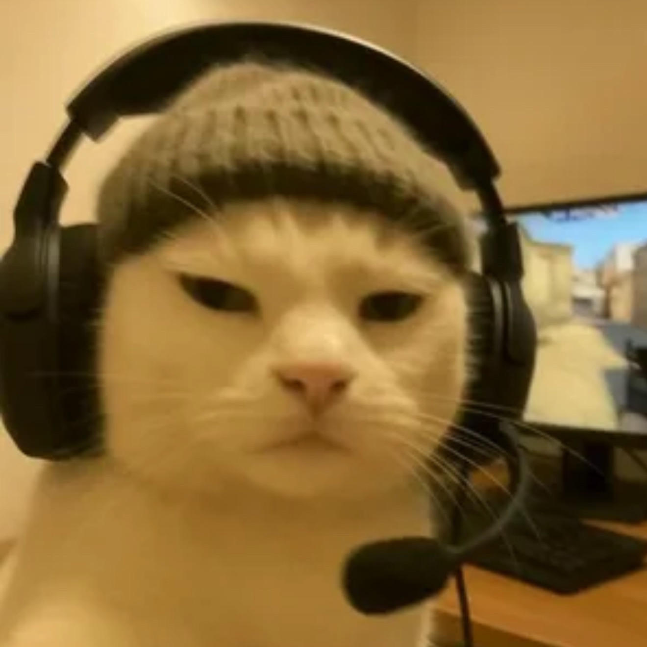 NothingT0Say