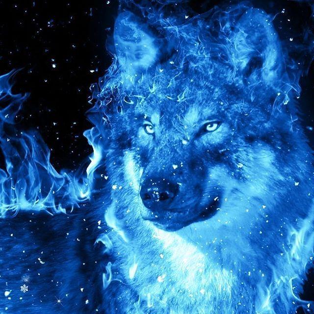 -NaFiN- avatar