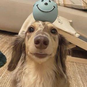 timjkeetima avatar