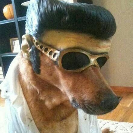 jorD4nu