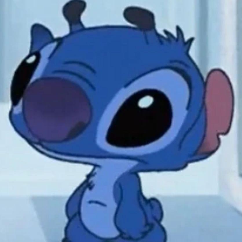 stich999 avatar