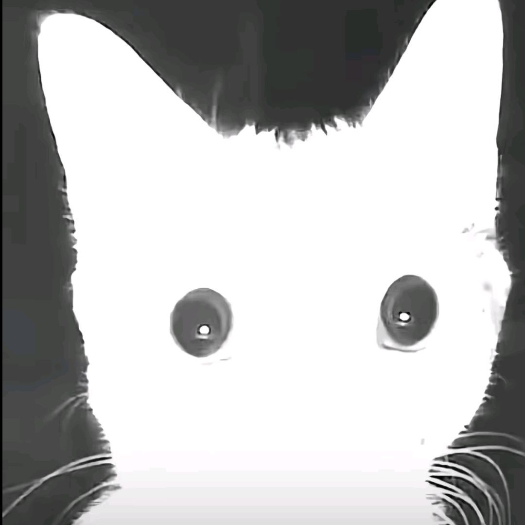 MoAbi1
