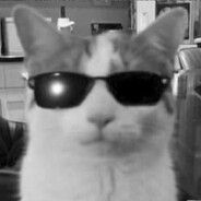 r8_enjoyer_