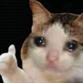 Laxwhy