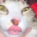 meunr1