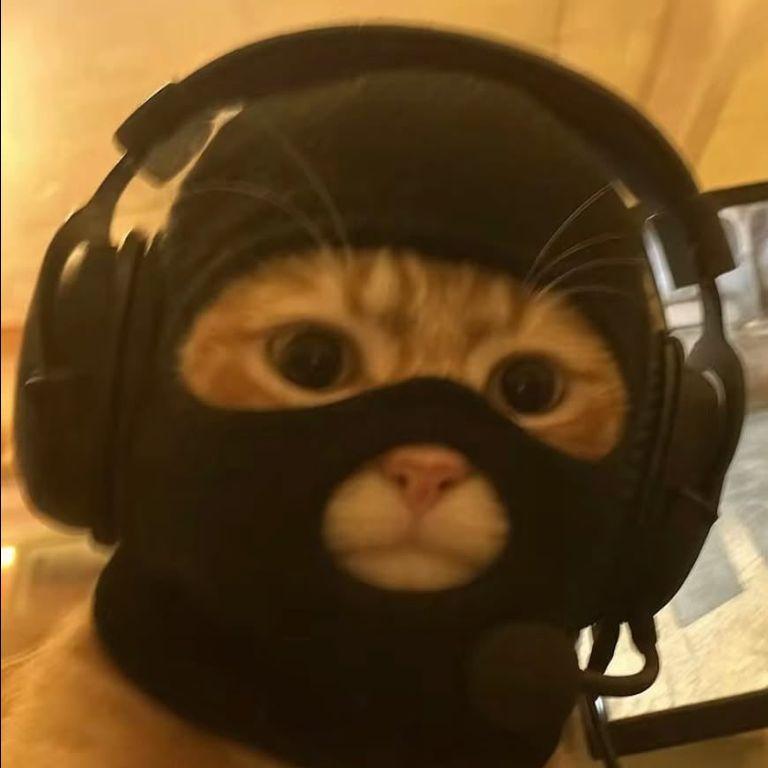 -Voxu avatar