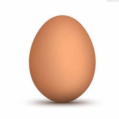 MR_Egg1