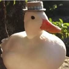 duckwastaken