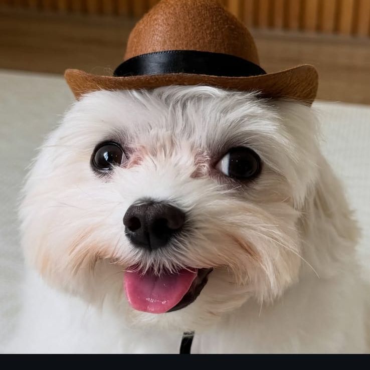 Osita25